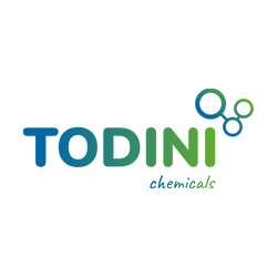 todini
